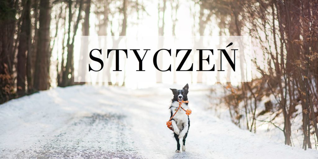 Kalendarium na styczeń